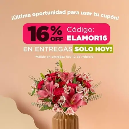 ¡SOLO HOY! 16% de descuento con cupón Envia Flores