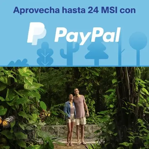 Hasta 24 meses sin intereses pagando con PayPal en Xcaret