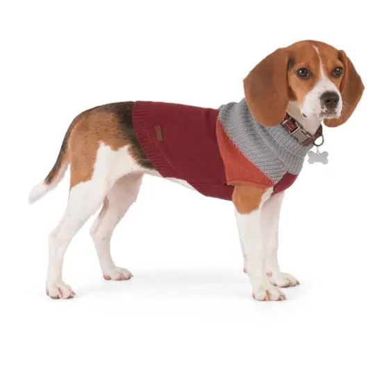 Suéteres para perros desde $200 en Petco